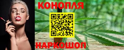 спиды Гусев