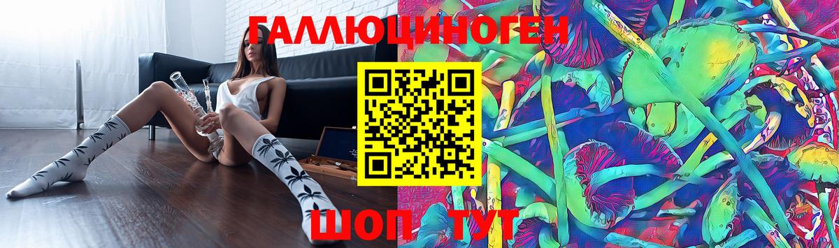 Псилоцибиновые грибы Cubensis Мирный